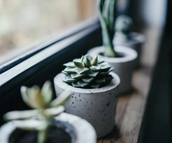 Tatra Loft * ザコパネ