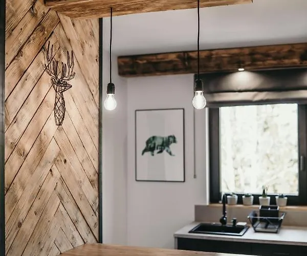 Tatra Loft * ザコパネ