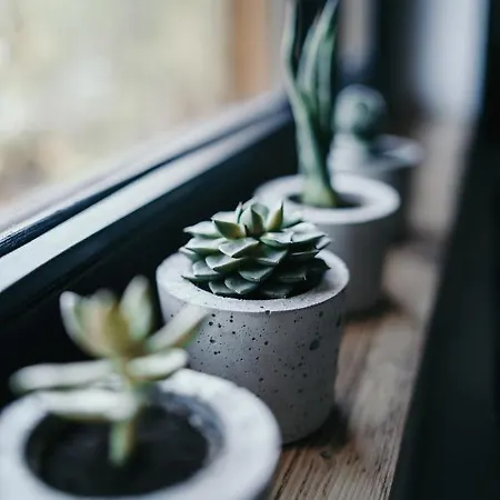 Tatra Loft * Zakopane